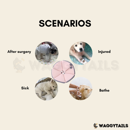 Waggytails Soft Pet Recovery Cone - Orange