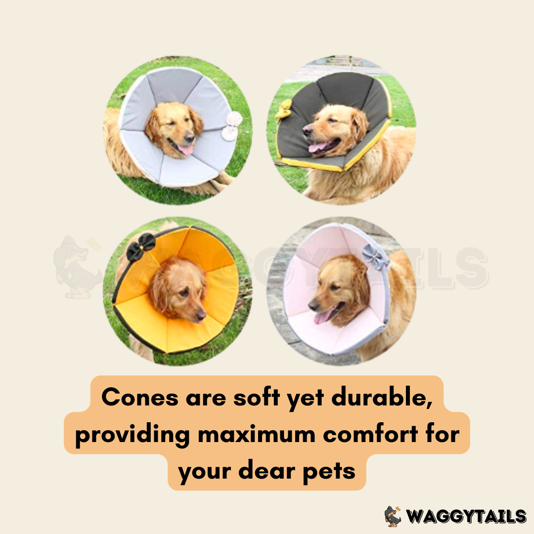 Waggytails Soft Pet Recovery Cone - Orange