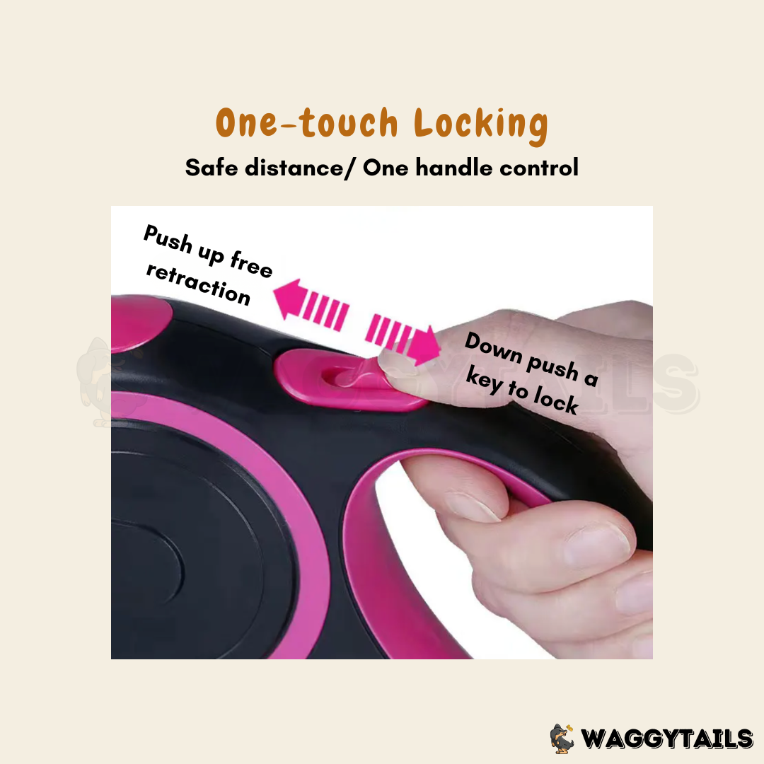 Waggytails Retractable Dog Leash - Sapphire Blue