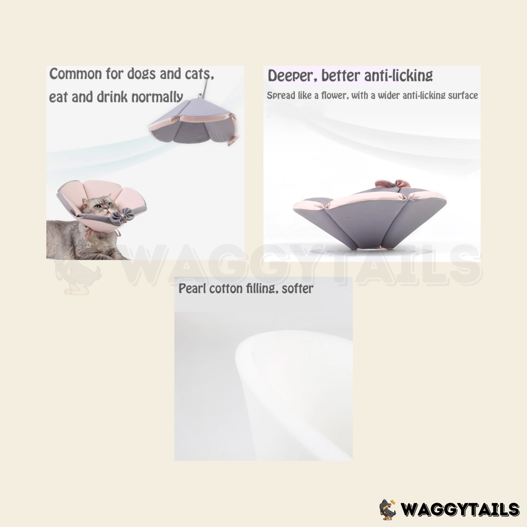 Waggytails Soft Pet Recovery Cone - Orange