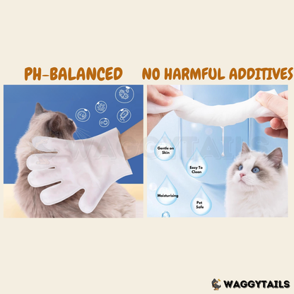 Kojima Pet Cleaning Gloves