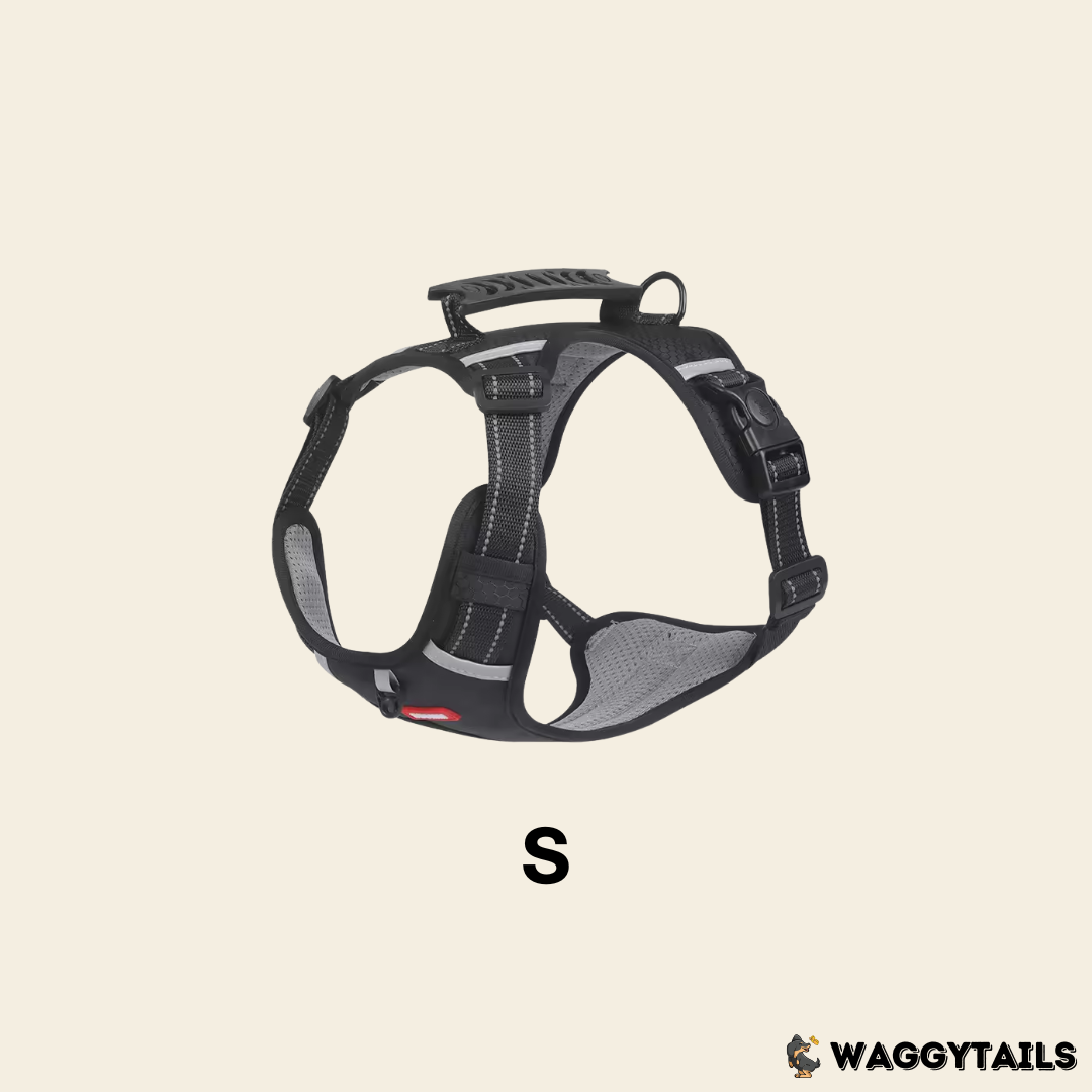 Waggytails Adjustable Reflective Dog Harness - Black
