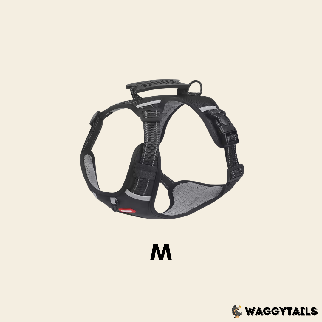 Waggytails Adjustable Reflective Dog Harness - Black